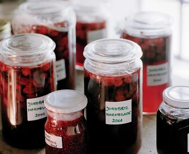 Ξενοδοχείο Niels Bugges 2*